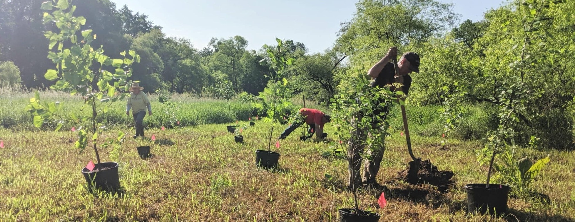 Stewardship Volunteer Thursdays